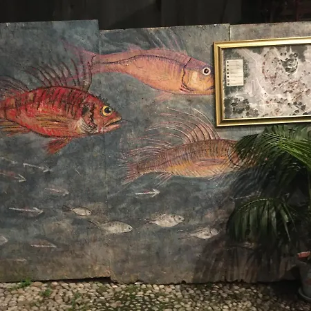 Ai Piedi Della Pigna Sanremo