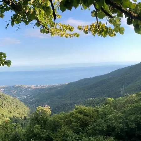 Ai Piedi Della Pigna *