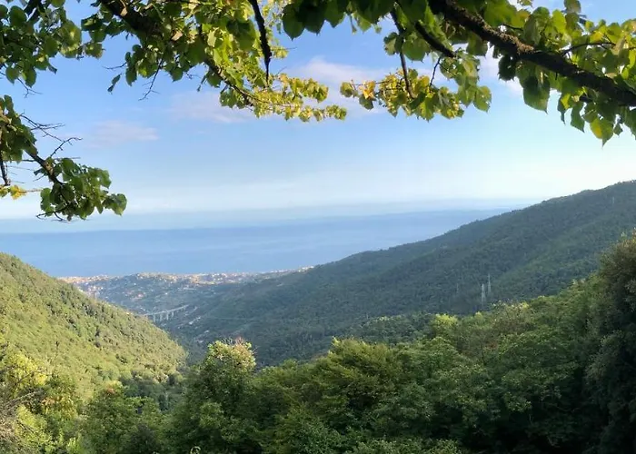 Ai Piedi Della Pigna *